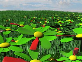 ICQ flowers field